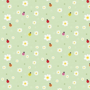 Daisies & Colorful Ladybugs On Green Background