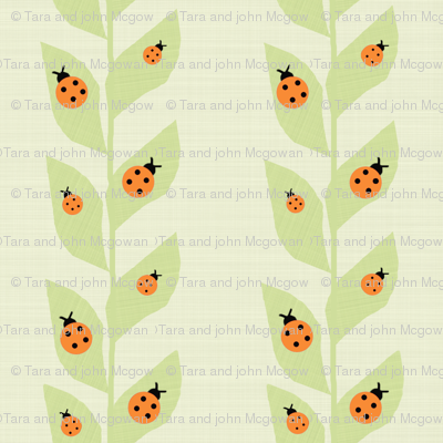 Orange Ladybugs