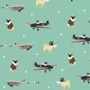 Aviator Pug