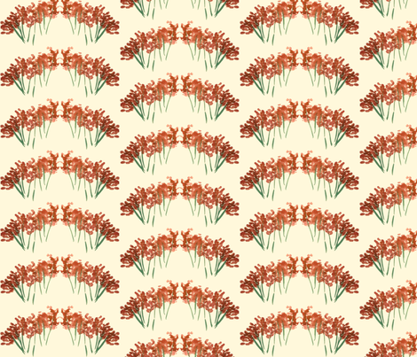 orangeflower-ed
