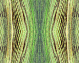 tree_bark in lime