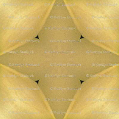 Candle Light 01