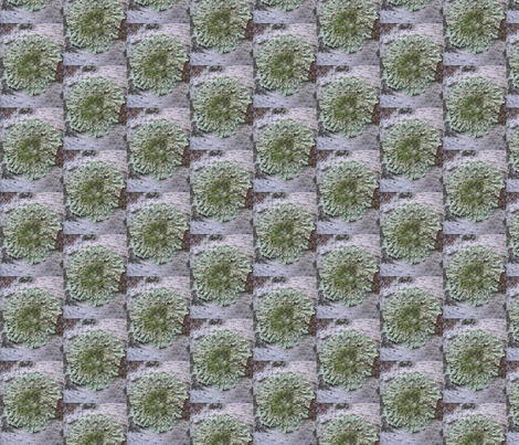 lichen fabric by yellowee on Spoonflower - custom fabric