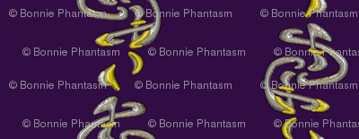Apailana Border