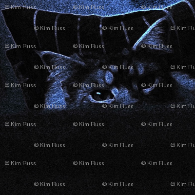 Bluecat