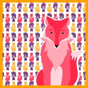 fox_coordinates_2