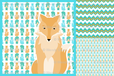 fox_coordinates_3