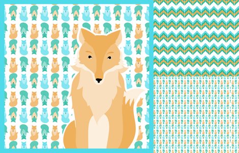 Rfox_coordinates_3