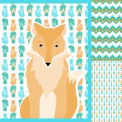 Rfox_coordinates_3