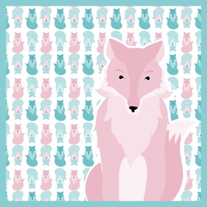 fox_coordinates_5