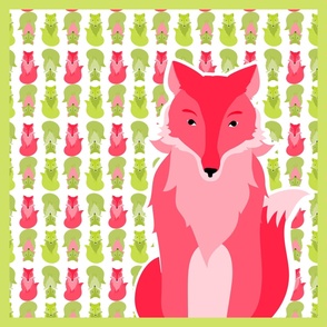 fox_coordinates_7