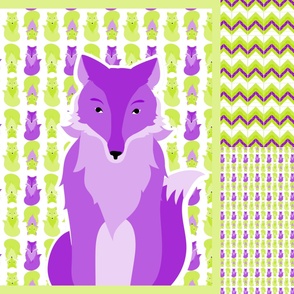 fox_coordinates_8