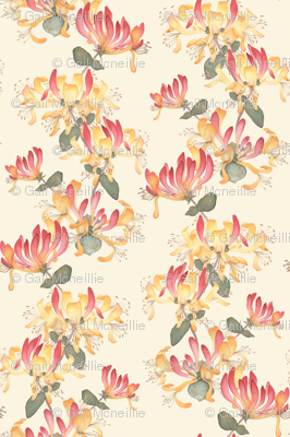 Climbing Honeysuckle - large repeat