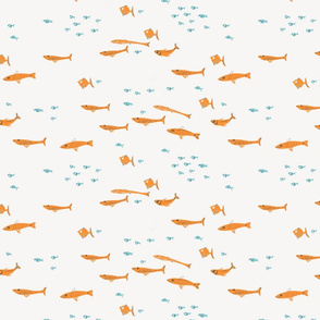 swim_class