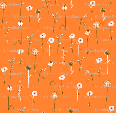 wildflowers