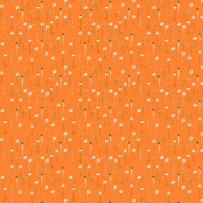 wildflowers