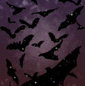 Night Bats