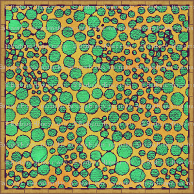 Dotty Cartography #6