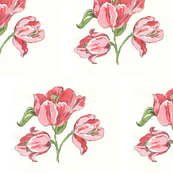 Tulips2_2014-ed