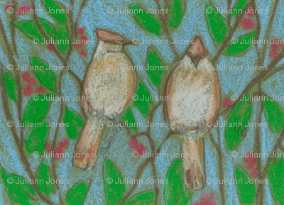 cedar waxwings
