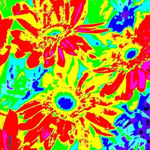 bright daisies 