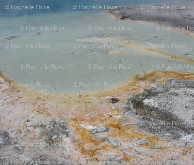 Yellowstone Springs