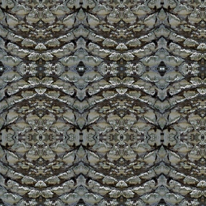 Dragon Scales I