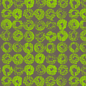 Backlit_Avacado