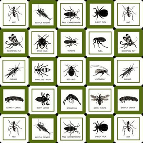 Checkerbugs