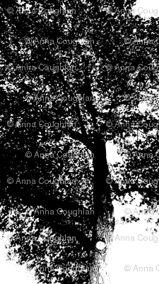 Black_Tree