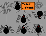Spiders