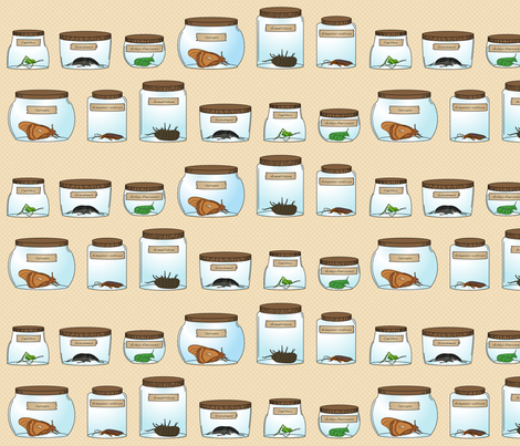 Amateur Entomologist fabric by wildnotions on Spoonflower - custom fabric