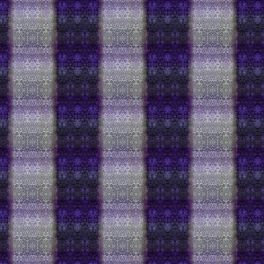 Quilter's Violet Variety