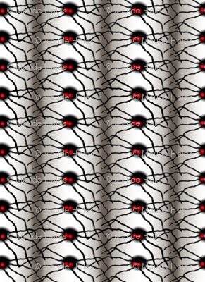 spiders