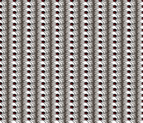 Spiderstripe_shop_preview