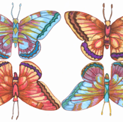 butterfly_fabric_final-001