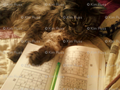 Sudoku Cat