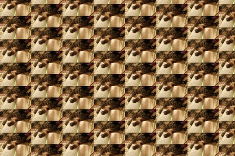 Rrrrrrr036_shop_preview