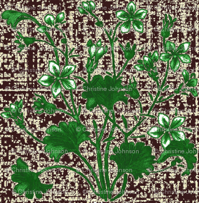 gingko_jasmine_brown