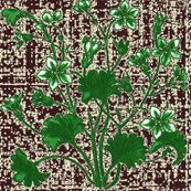 Rgingko_jasmine_brown_shop_thumb
