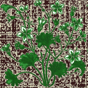 gingko_jasmine_brown