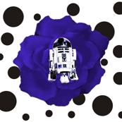 R2 Blue Rose on Black & White Polka