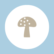 Woodland Magic Mushroom Blue