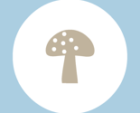 Woodland Magic Mushroom Blue