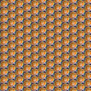 Silk Orange Cat 