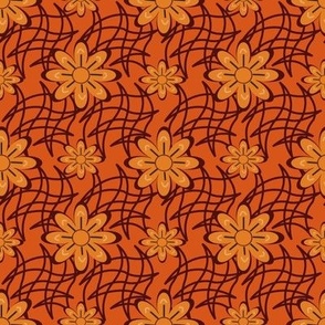 Orange Flower on a Web
