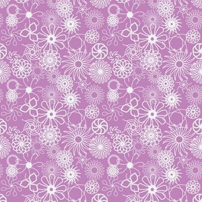 Rosaces_blanches fond violet