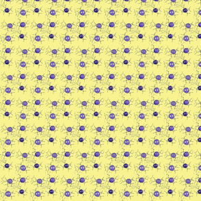 spiders-ch