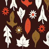 Autumn_leaves_brown_shop_thumb