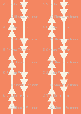 Arrows in Coral